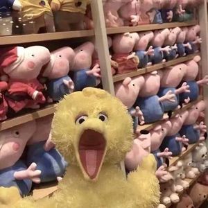 8C40D997-VID20251122220913