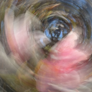 顺颂时祺