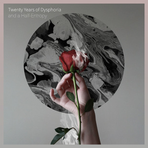 20 Years of Dysphoria and a Half​-​Entropy