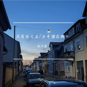 没有你之后
