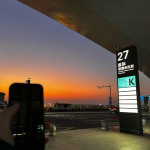 遗憾特区（Gl 胡桃里音坊__DJ陶子 remix）