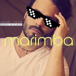 Marimba (Favor De No Molestar)