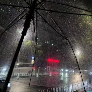 暴风雨过后