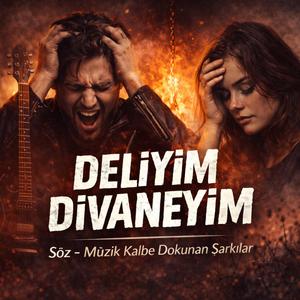 Deliyim Divaneyim