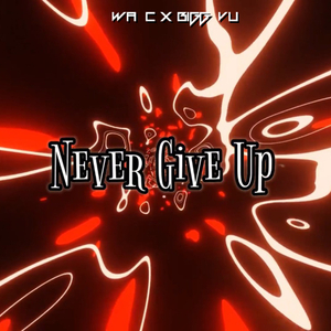 Never Give Up