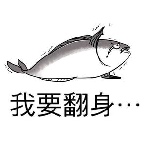 像鱼
