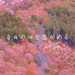 奈良の桜をながめる