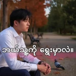 ဘယ်သူ့ကို ရွေးမှာလဲ။