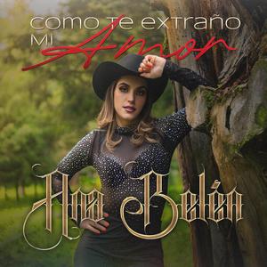 Como te Extraño mi Amor