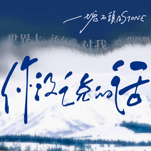 你没说的话