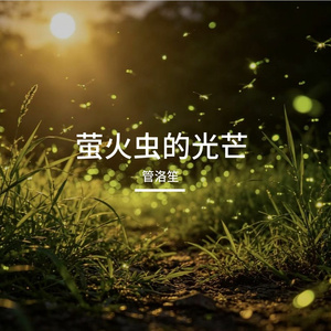 萤火虫的光芒