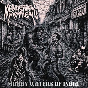 Muddy Waters of India