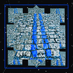 Se Essa Rua Fosse Minha (Goyanu Remix)