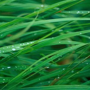 钢琴白噪音引向的沉睡之境