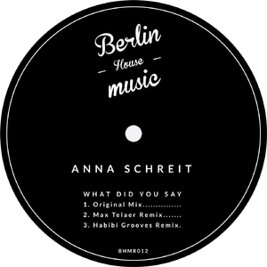 What Did You Say (Habibi Grooves Remix)