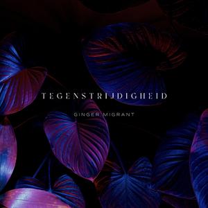Tegenstrijdigheid