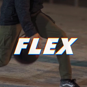 Flex