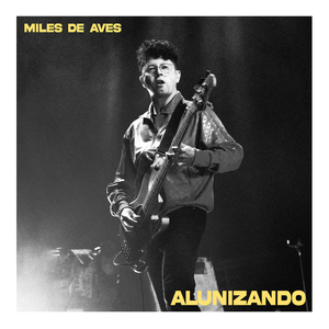 Alunizando