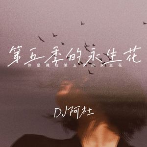 相爱为什么会分开