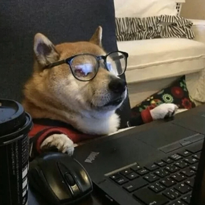 托你的福到现在都还没走出来.