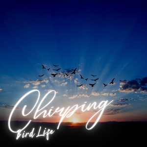 Chirping