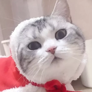 提拉米苏（翻自 新乐尘符）