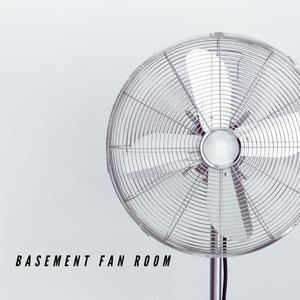 Basement Fan Room