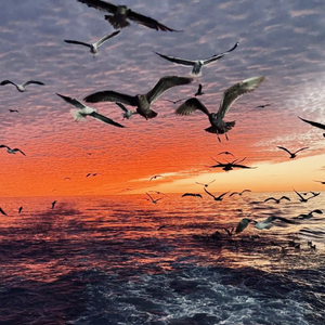 《Keys in My Hand》