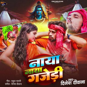 Naya Naya Gajedi