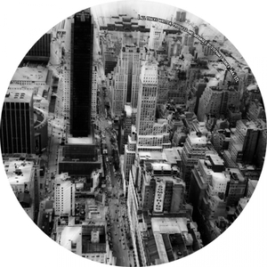 Insectoid (Original Mix)