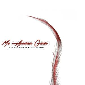 Me Apodan Gallo (feat. Yair Alvarado)
