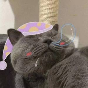 终生为期的浪漫