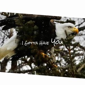 Don't Stop the Carnival