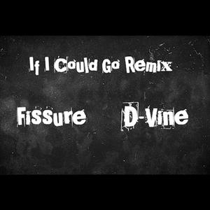 If I Could Go Remix (feat. Fissure)