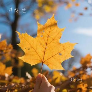 黄色枫叶 (Cover 薛之谦)