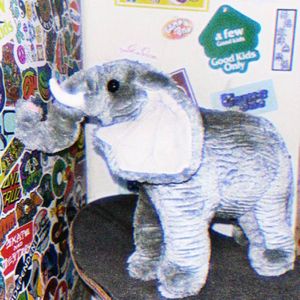 winter die in the dreamcore