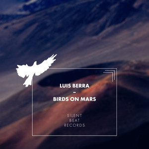 Birds on Mars