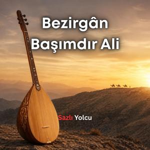 Bezirgan Başımdır Ali, Şaha giden bir kervan gördüm
