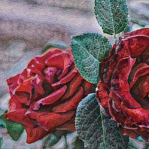 You Can Stay In the Guest Room