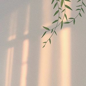 世间美好与你环环相扣