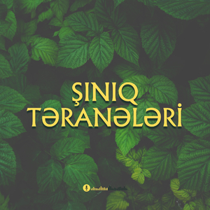 Şınıq Təranələri (Super Rəqs Havası)