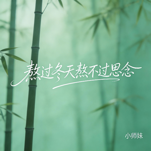 熬过冬天熬不过思念（抖音飙升版）