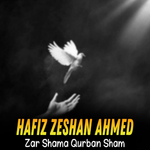 Zar Shama Qurban Sham