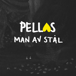 Man av stål