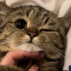 地位（完整版）第二遍(1)