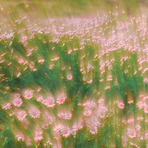 לא יכול להיות