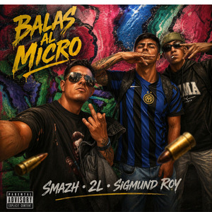 Balas al micro