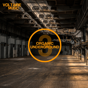 City Shuffle (Mario da Ragnio & Wollion Remix)