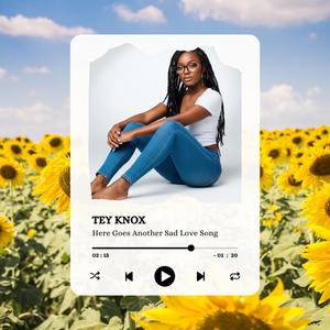 Here Goes Another Sad Love Song