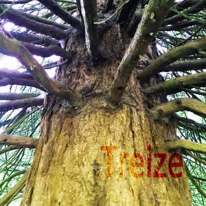 Treize